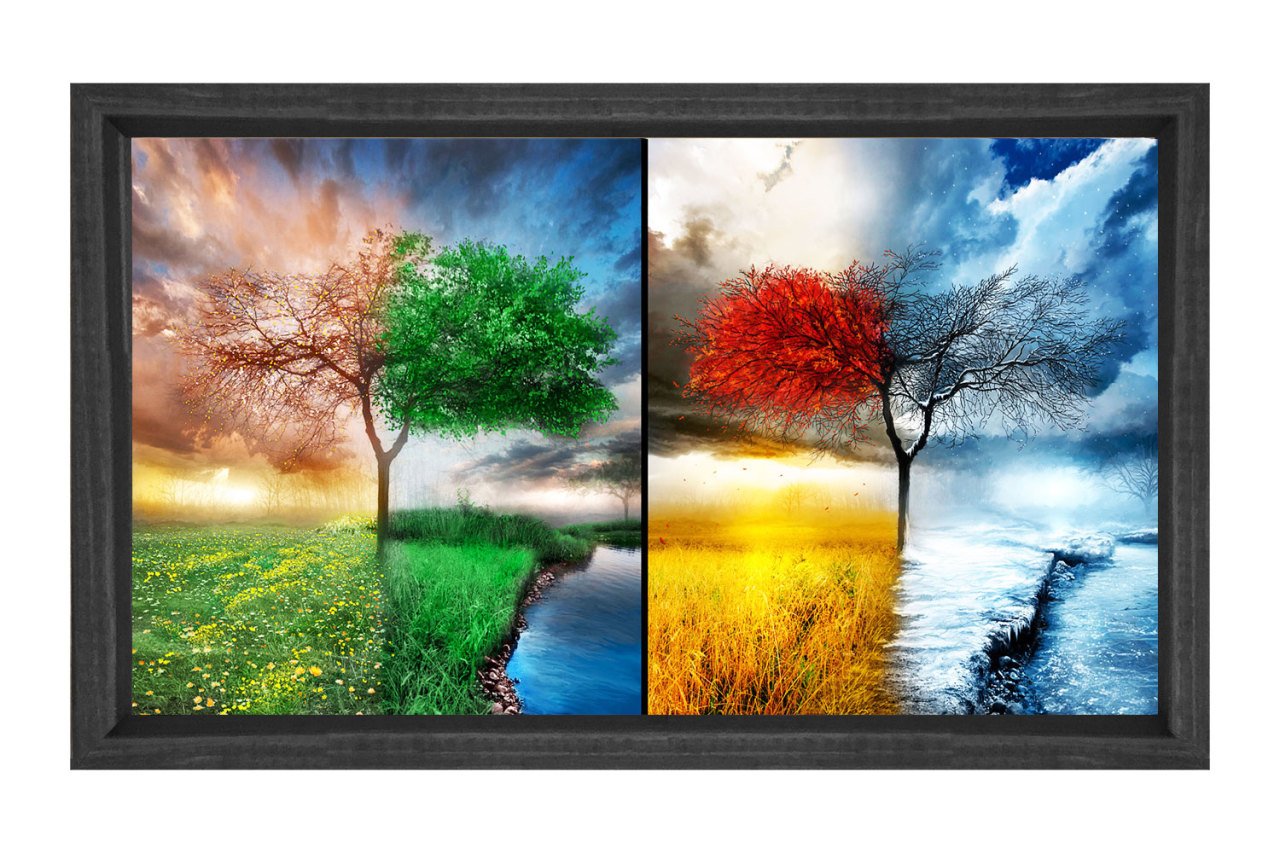 Dört Mevsim Ağacı Tablosu Siyah Ahşap Çerçeve - 40x60