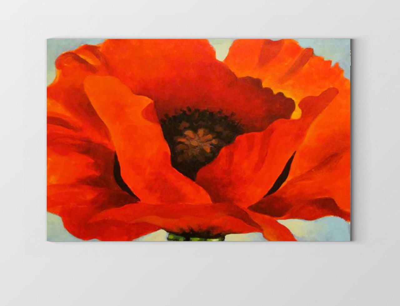 Gelincik Çiçek Tablosu Çerçevesiz - 45x30