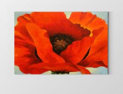 Gelincik Çiçek Tablosu Çerçevesiz - 45x30