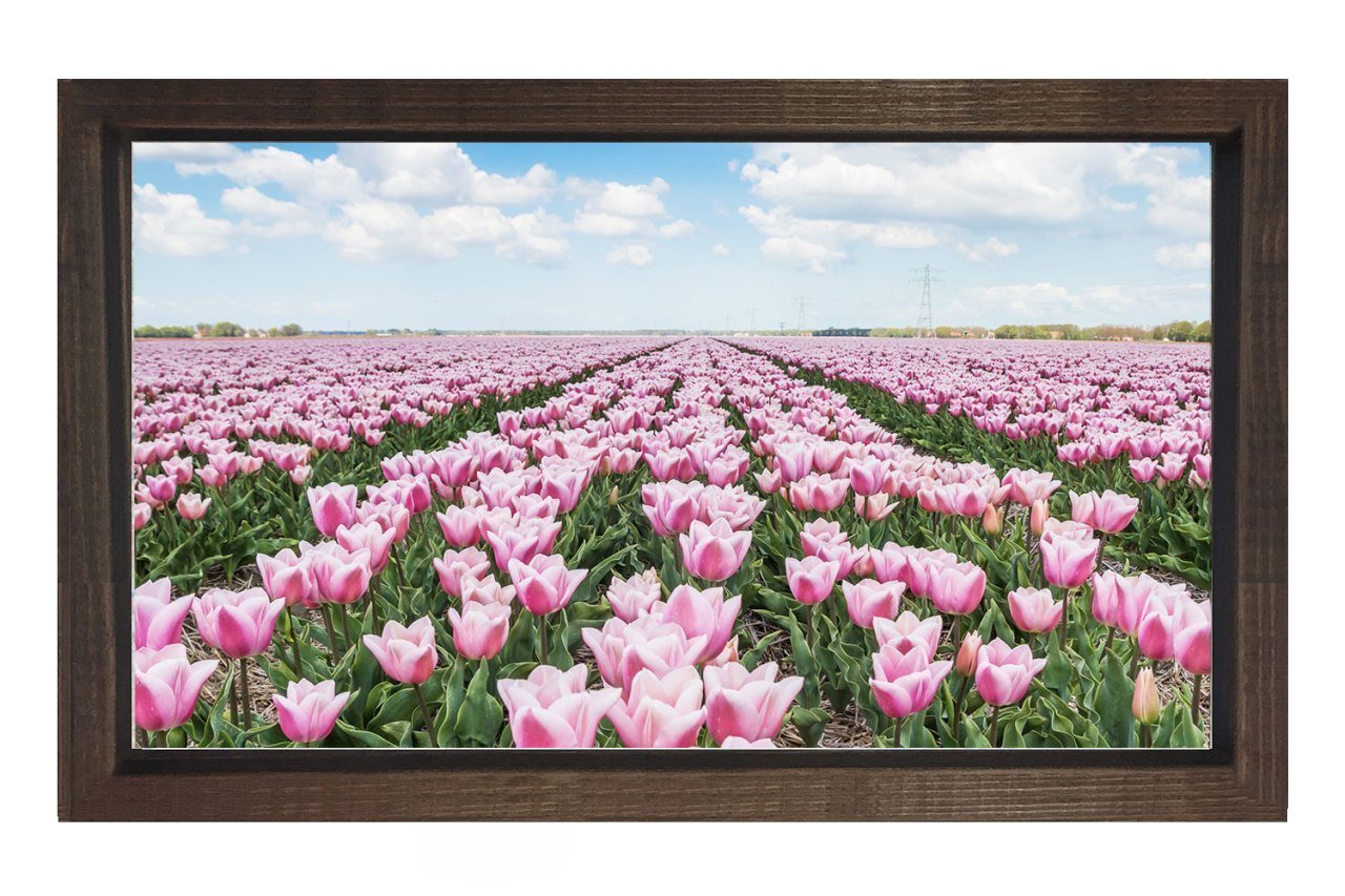 Pembe Gül Çiçek Manzarası Tablosu Kahverengi Ahşap - 50x70
