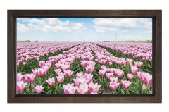 Pembe Gül Çiçek Manzarası Tablosu Kahverengi Ahşap - 70x100