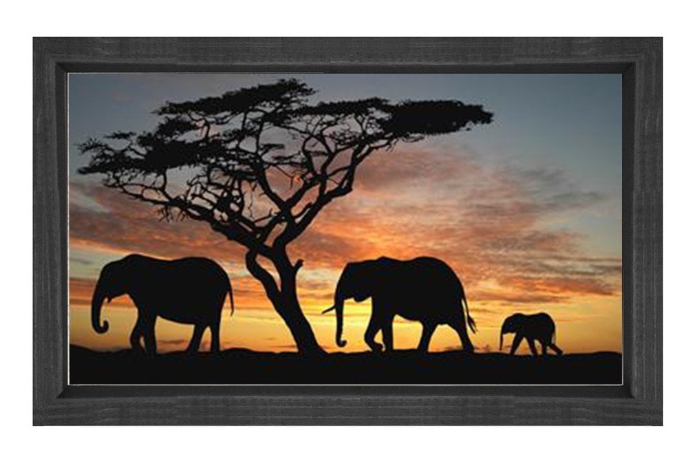 Fil Ailesi Tablosu Siyah Ahşap Çerçeve - 50x70