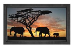 Fil Ailesi Tablosu Siyah Ahşap Çerçeve - 50x70