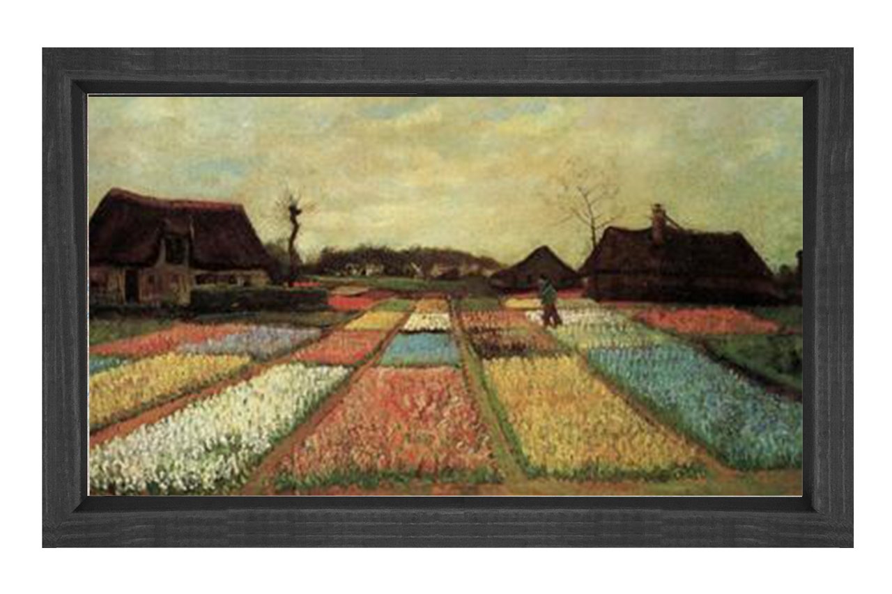 Tarlalar Tablosu Siyah Ahşap Çerçeve - 50x70