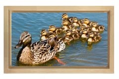Ördekler Tablosu Naturel Ahşap Çerçeve - 45x30