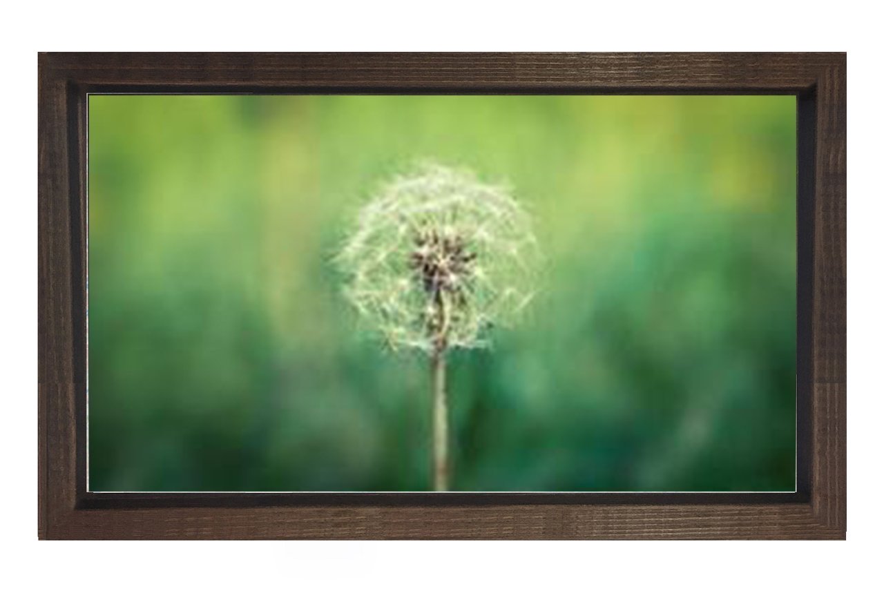 Karahindiba Çiçek Tablosu Kahverengi Ahşap Çerçeve - 50x70