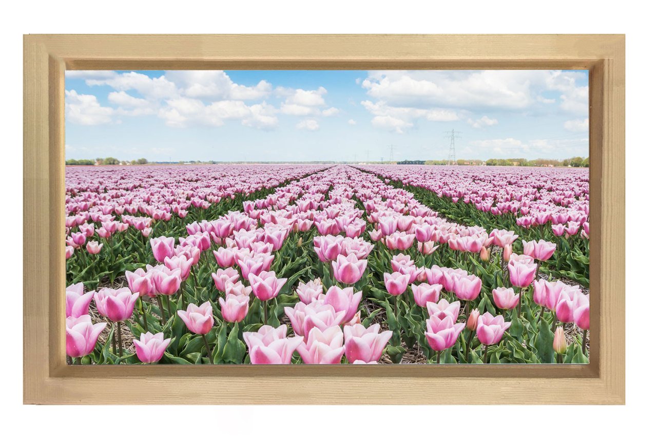 Pembe Gül Çiçek Manzarası Tablosu Naturel Ahşap - 70x100