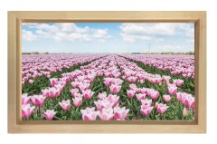 Pembe Gül Çiçek Manzarası Tablosu Naturel Ahşap - 70x100