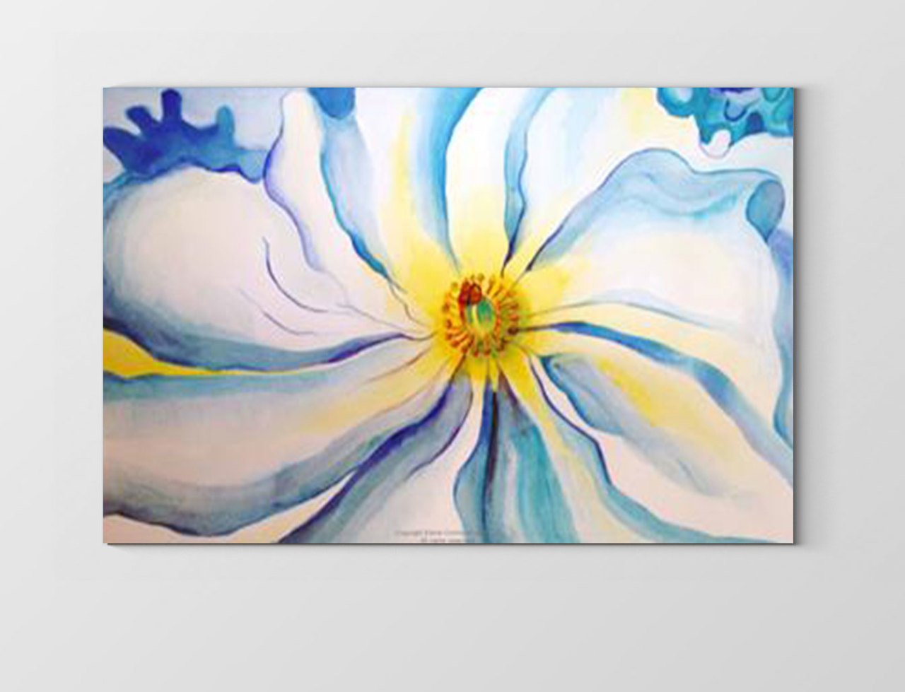 Beyaz Çiçek Tablosu Çerçevesiz - 45x30