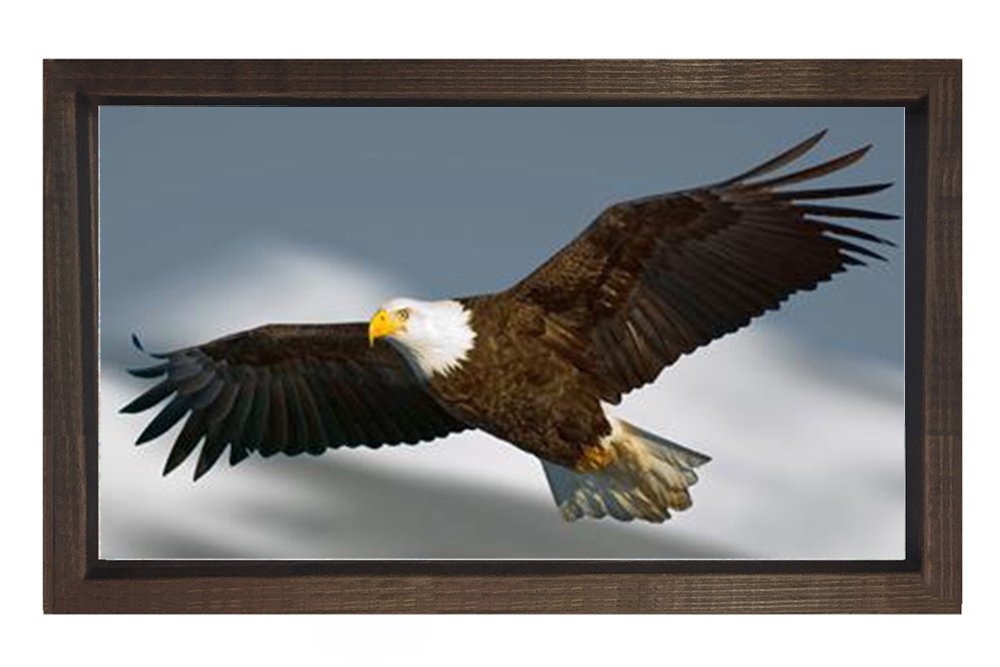 Kartal Tablosu Kahverengi Ahşap Çerçeve - 100x150