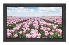 Pembe Gül Çiçek Manzarası Tablosu Siyah Ahşap - 45x30