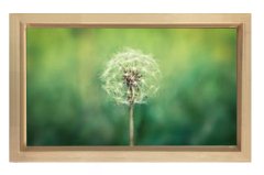 Karahindiba Çiçek Tablosu Naturel Ahşap Çerçeve - 40x60