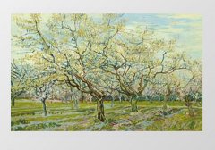 Vincent Van Gogh Tablosu Çerçevesiz - 45x30