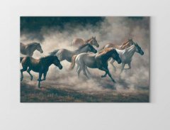 Vahşi Atlar Koşarken Tablosu Çerçevesiz - 100x200