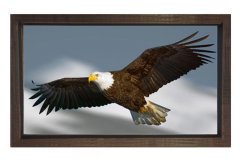 Kartal Tablosu Kahverengi Ahşap Çerçeve - 70x100