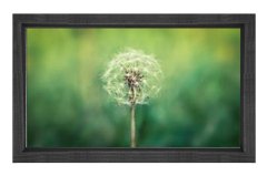 Karahindiba Çiçek Tablosu Siyah Ahşap Çerçeve - 45x30