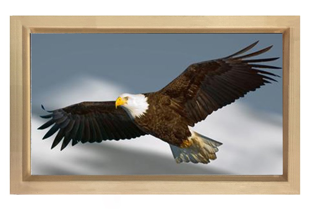 Kartal Tablosu Naturel Ahşap Çerçeve - 45x30