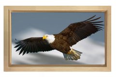 Kartal Tablosu Naturel Ahşap Çerçeve - 45x30