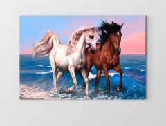 At Çifti Tablosu Çerçevesiz - 40x60