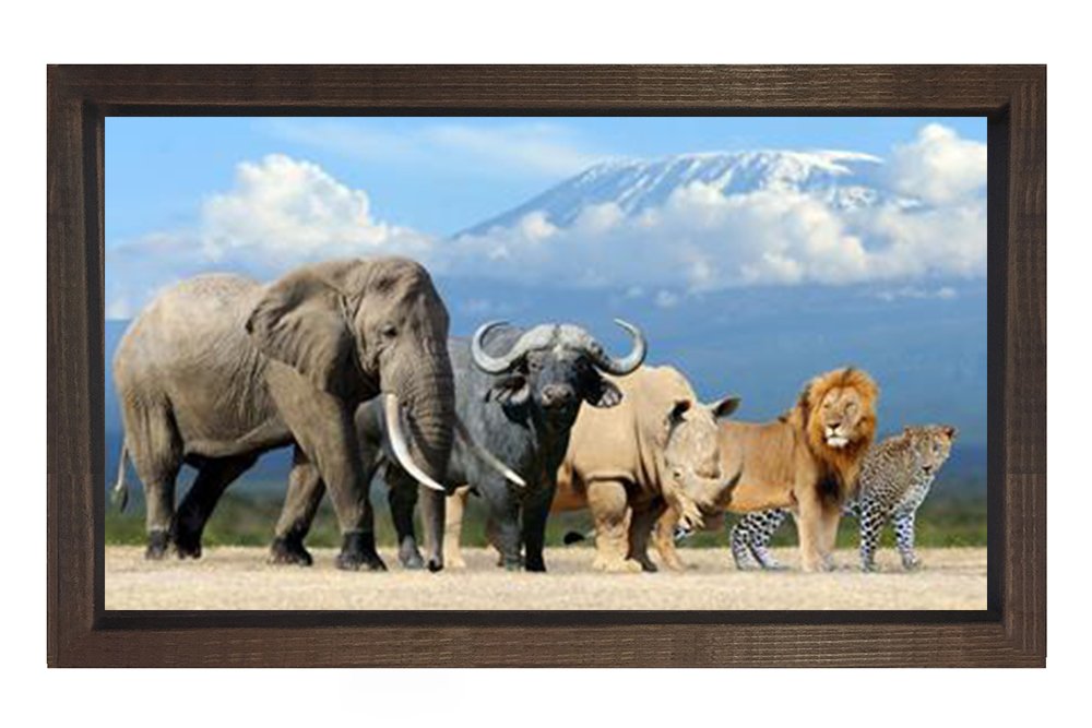 Hayvanlar Tablosu Kahverengi Ahşap Çerçeve - 100x200
