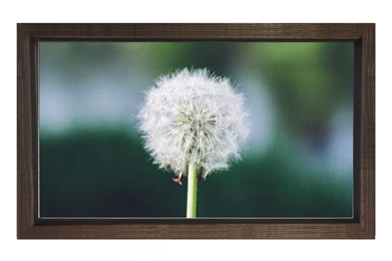 Karahindiba Tablosu Kahverengi Ahşap Çerçeve - 40x60