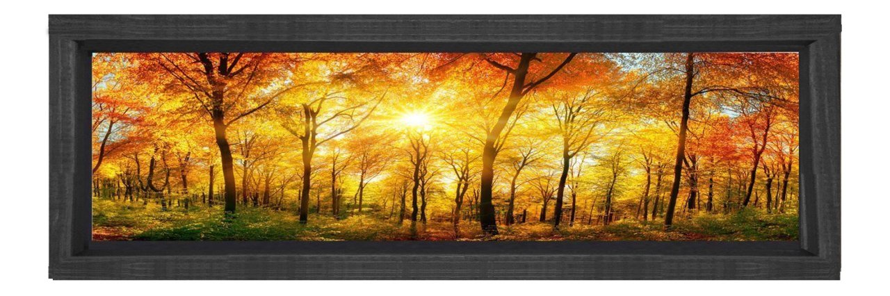 Sonbahar Ormanı Tablosu Siyah Ahşap Çerçeve - 90x30