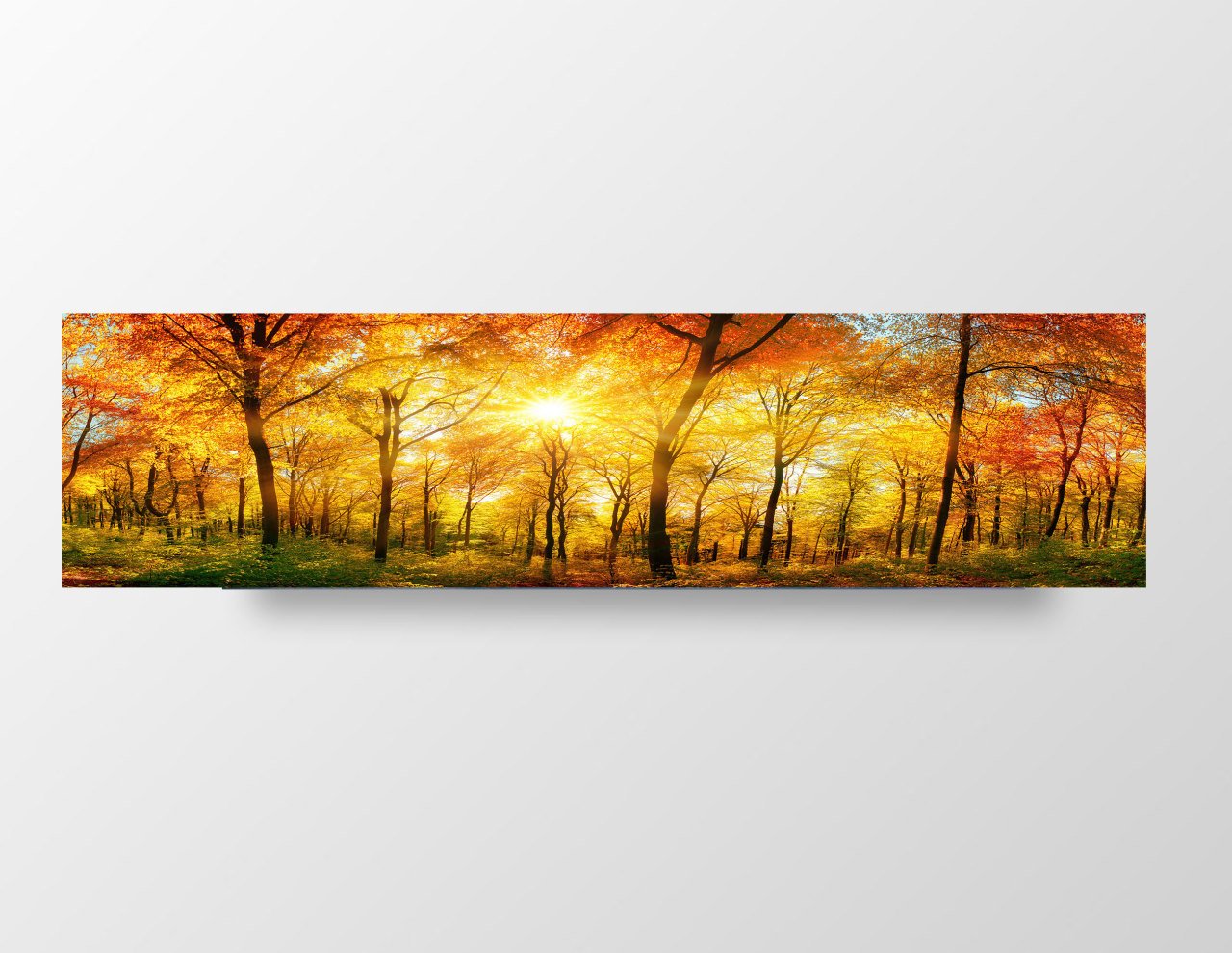 Sonbahar Ormanı Tablosu Çerçevesiz - 120x40