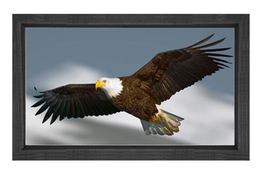 Kartal Tablosu Siyah Ahşap Çerçeve - 40x60