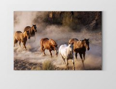 Gezgin Vahşi Atlşar Tablosu Çerçevesiz - 45x30