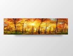 Sonbahar Ormanı Tablosu Çerçevesiz - 200x70