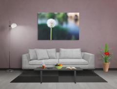 Karahindiba Tablosu Naturel Ahşap Çerçeve - 45x30