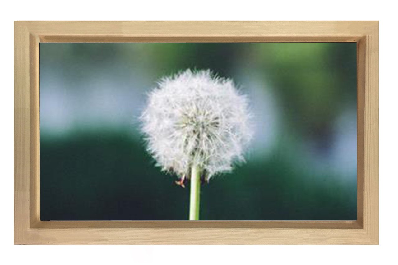 Karahindiba Tablosu Naturel Ahşap Çerçeve - 45x30