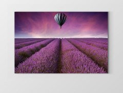 Uçan Balon Ve Lavanta Manzarası Tablosu Çerçevesiz - 100x200