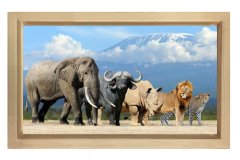 Hayvanlar Tablosu Naturel Ahşap Çerçeve - 70x100