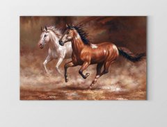 Koşan At Çifti Tablosu Çerçevesiz - 50x70