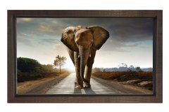 Fil Tablosu Kahverengi Ahşap Çerçeve - 100x150