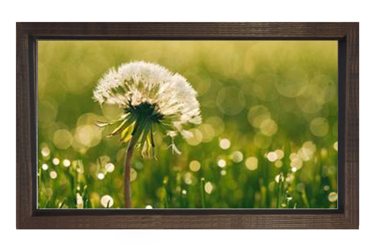 Karahindiba Çiçek Tablosu Kahverengi Ahşap Çerçeve - 45x30