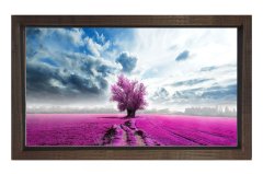 Lavanta Tarlası Mor Ağaç Manzara Tablosu Kahverengi Ahşap Çerçeve - 50x70