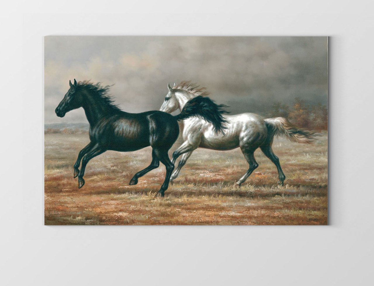 Siyah ve Beyaz At Tablosu Çerçevesiz - 45x30