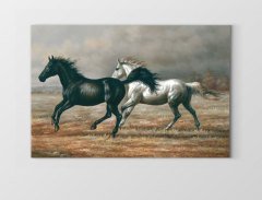 Siyah ve Beyaz At Tablosu Çerçevesiz - 45x30