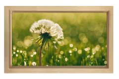 Karahindiba Çiçek Tablosu Naturel Ahşap Çerçeve - 50x90