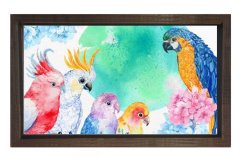 Papağanlar Tablosu Kahverengi Ahşap Çerçeve - 50x70