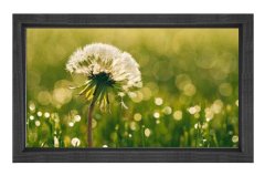 Karahindiba Çiçek Tablosu Siyah Ahşap Çerçeve - 100x150