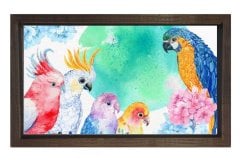 Papağanlar Tablosu Kahverengi Ahşap Çerçeve - 70x100