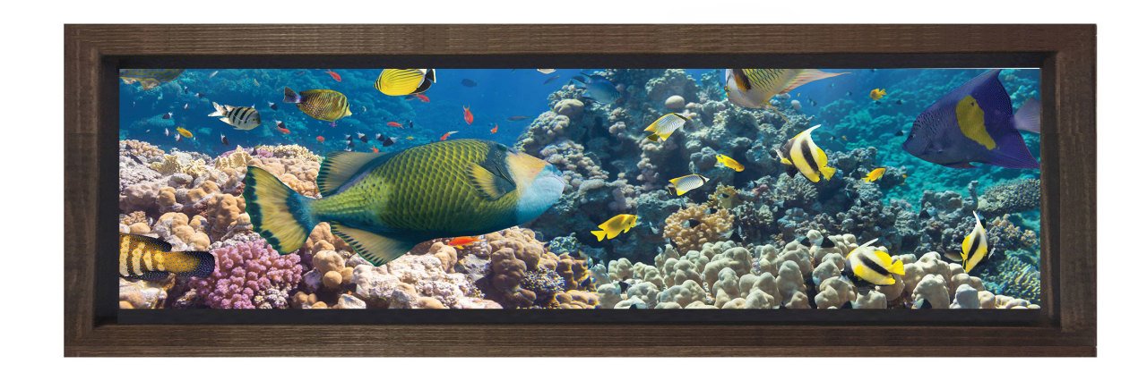 Denizaltı ve Balıklar Tablosu Kahverengi Ahşap Çerçeve - 200x70