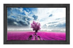 Lavanta Tarlası Mor Ağaç Manzara Tablosu Siyah Ahşap Çerçeve - 50x70
