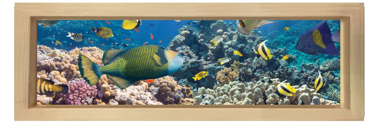 Denizaltı ve Balıklar Tablosu Naturel Ahşap Çerçeve - 120x40