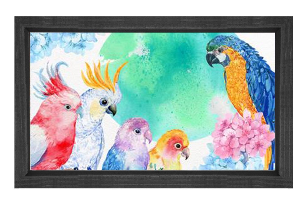 Papağanlar Tablosu Siyah Ahşap Çerçeve - 70x100