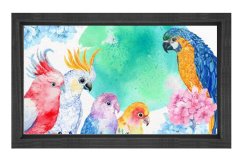 Papağanlar Tablosu Siyah Ahşap Çerçeve - 70x100