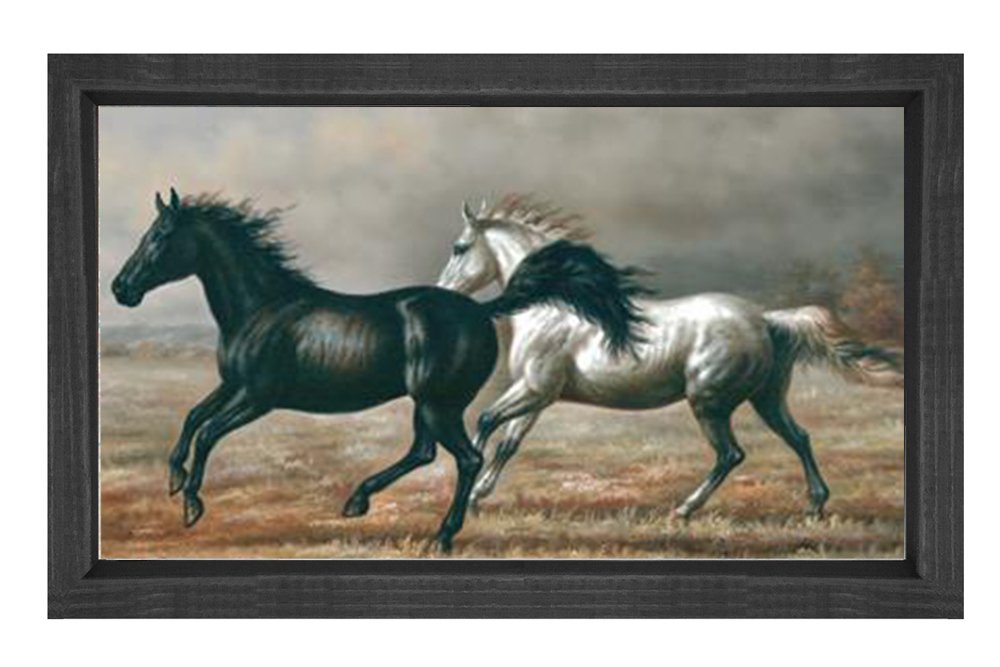 Siyah ve Beyaz At Tablosu Siyah Ahşap Çerçeve - 40x60